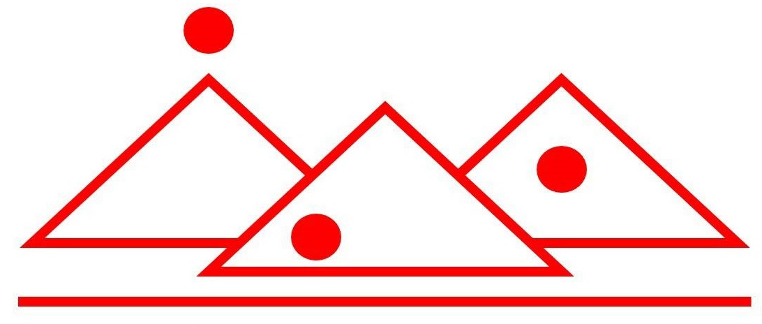 IDO Logo